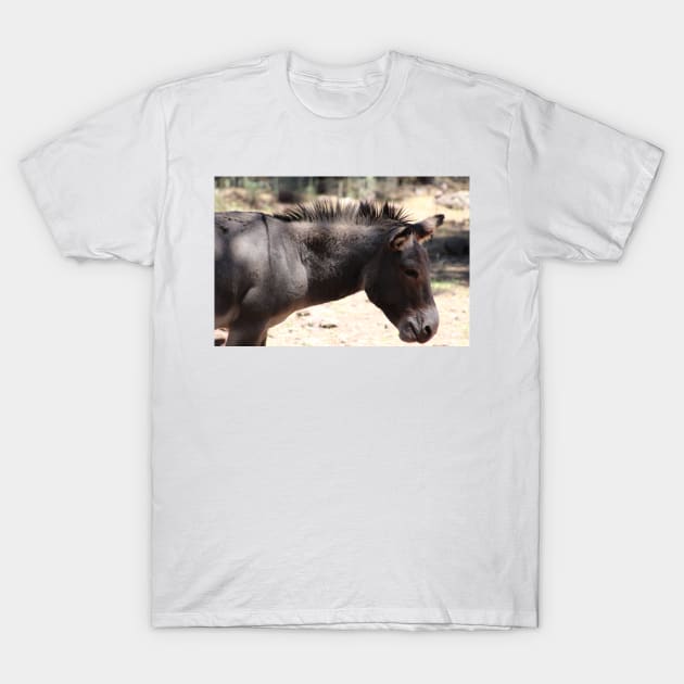 Closeup of Mule - Arizona T-Shirt by ButterflyInTheAttic